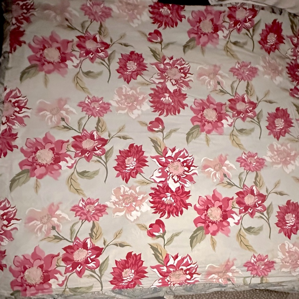 Pottery Barn Shower Curtain & King Duvet Cover